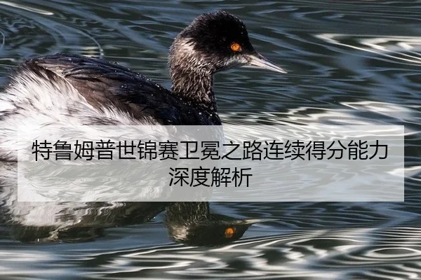 特鲁姆普世锦赛卫冕之路连续得分能力深度解析
