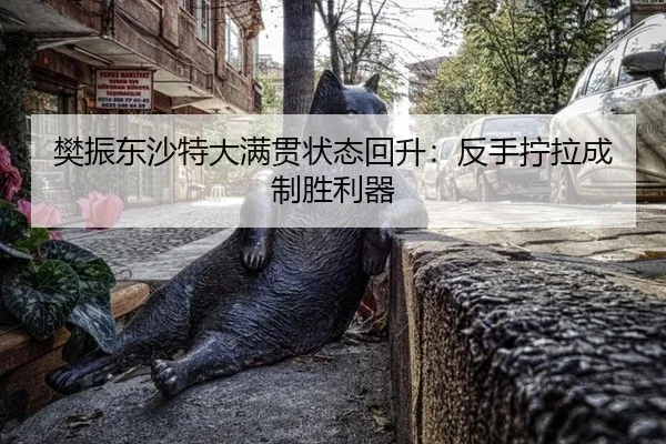 樊振东沙特大满贯状态回升：反手拧拉成制胜利器